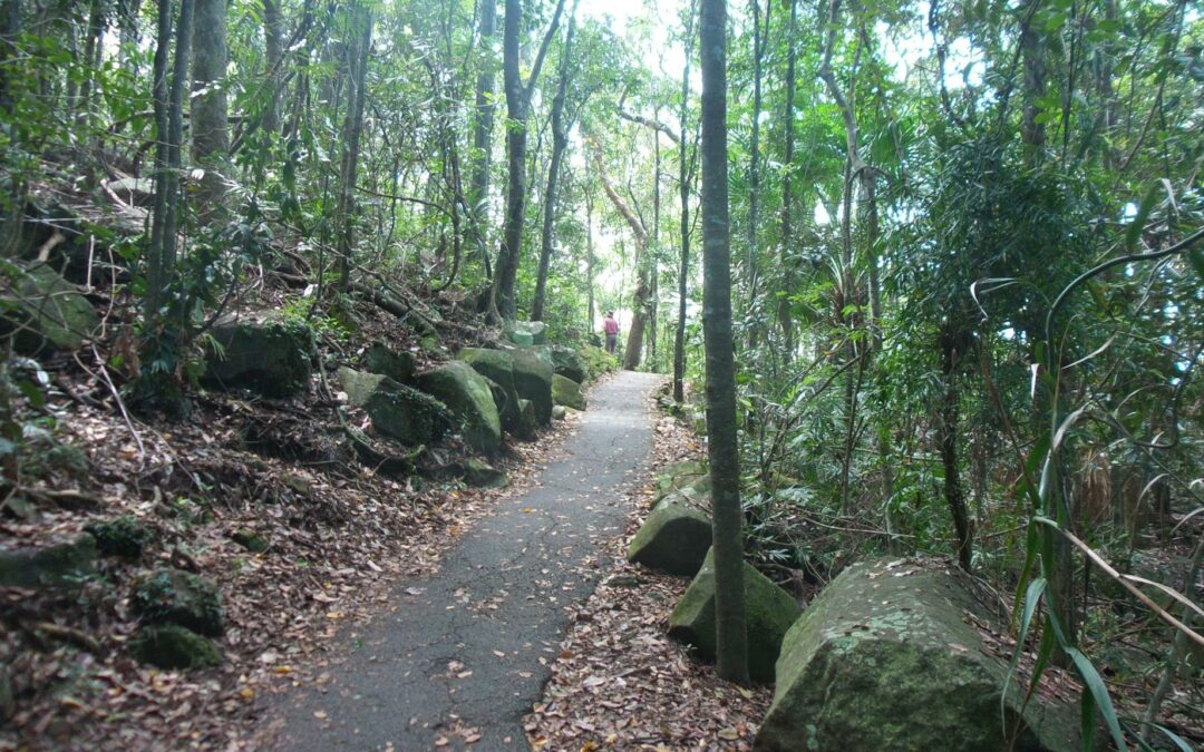 Burleigh’s free list: the headland loop, the point and first-light swims