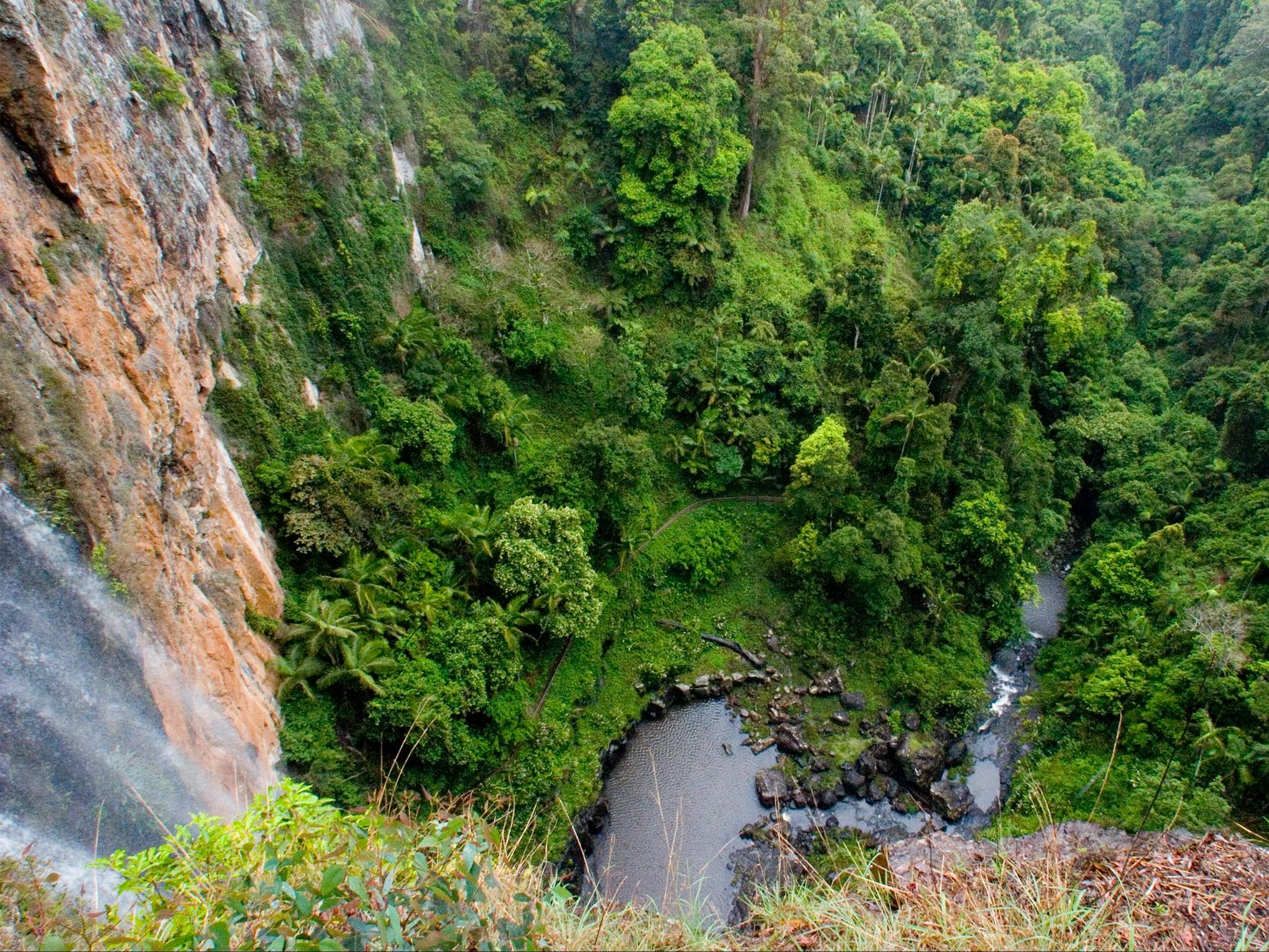 Purling Brook Falls at Springbrook National Park on a day trip from Burleigh
